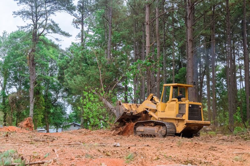 Lake Lot Clearing in Katy, TX