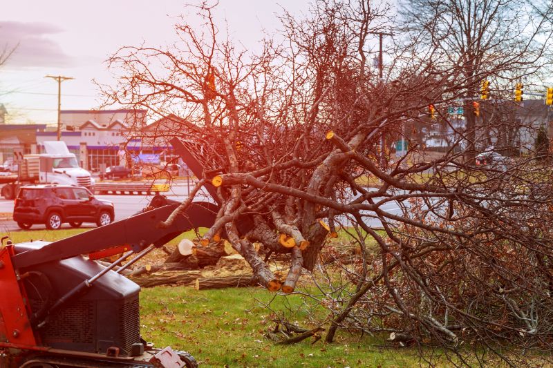 Pool Land Clearing in Salt Lake City, UT